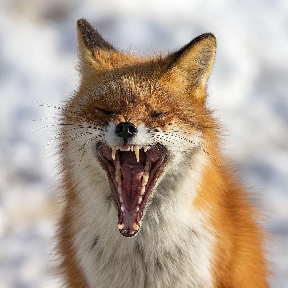 Photograph by Анатолий Макоедов