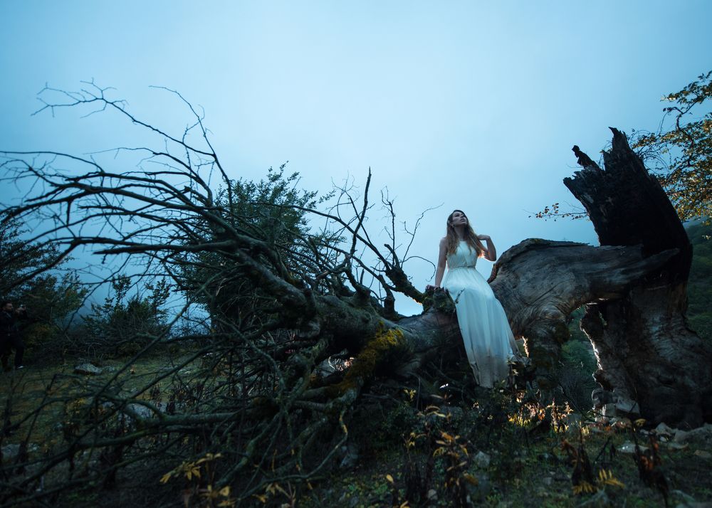 Photograph by Shahrokh Tammehr