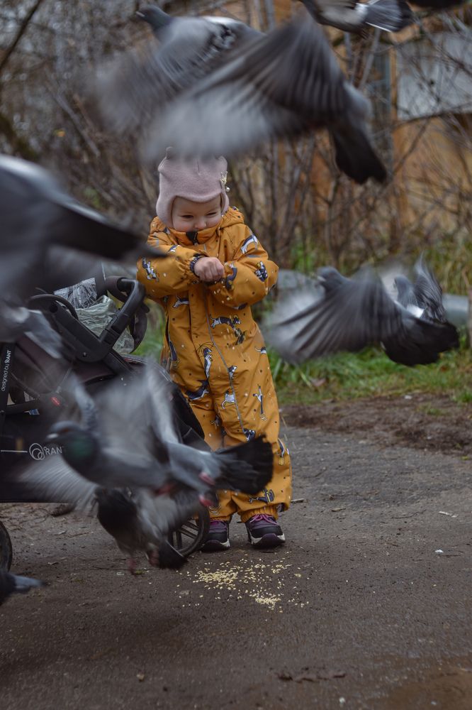 Photograph by Татьяна Сурова