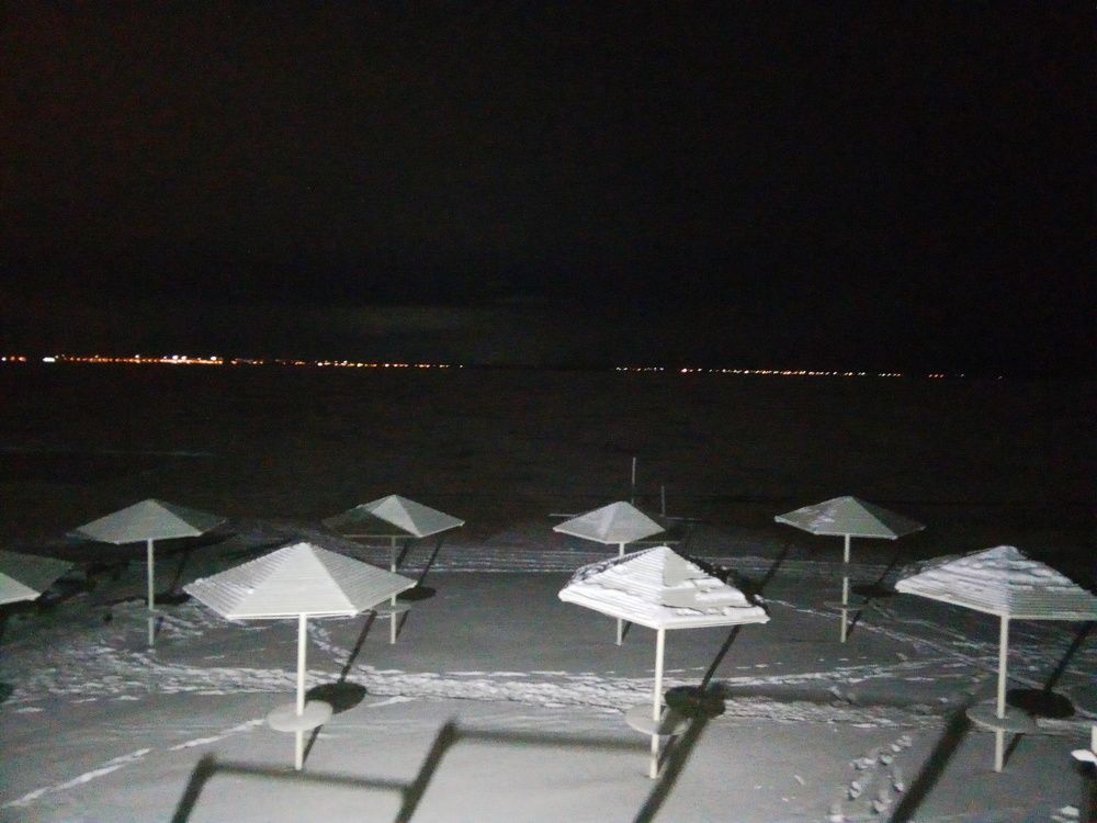 Photo #9853450
