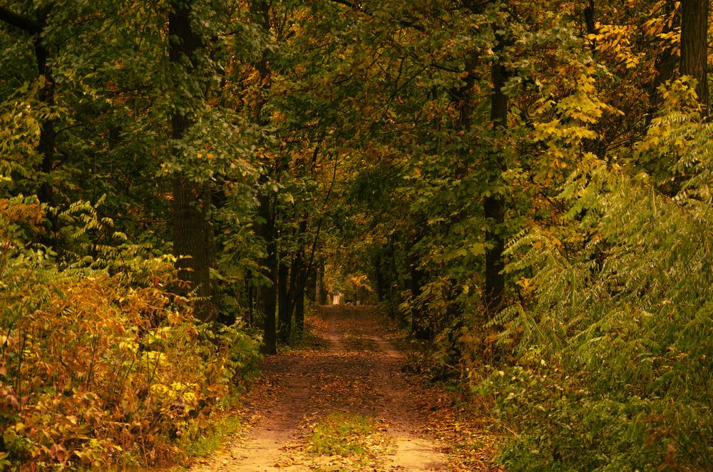 Фотография автора Анастасия Роговцова