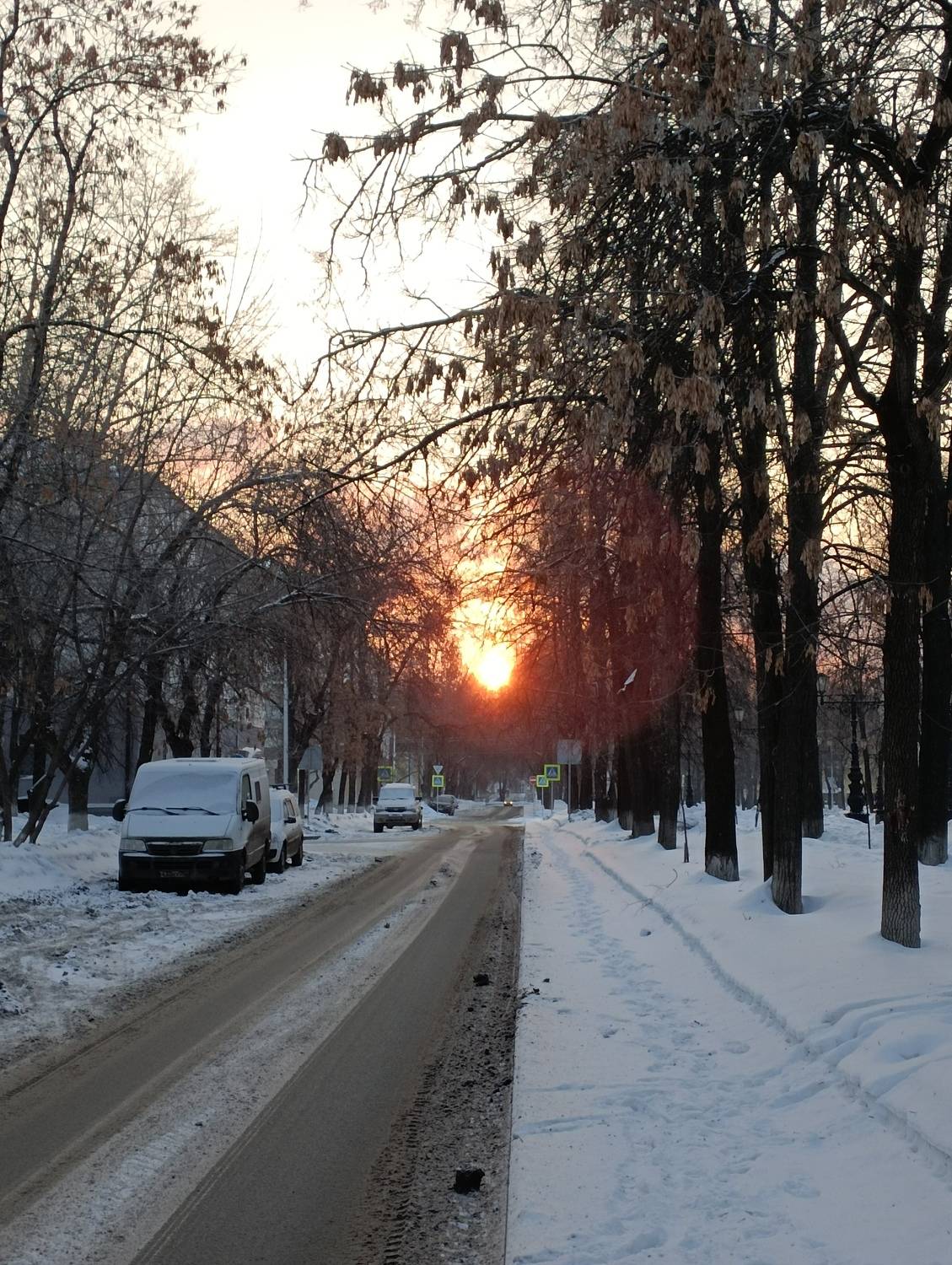 Photo #9853509