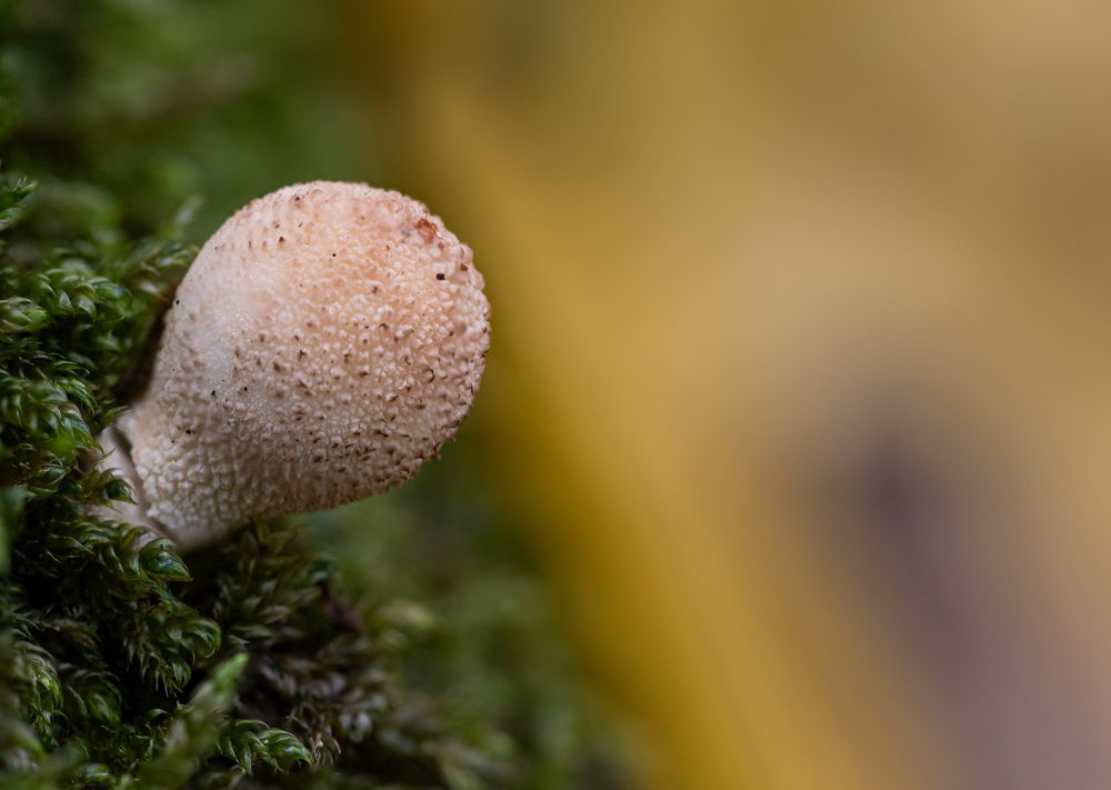 Photograph by Adis Rekic