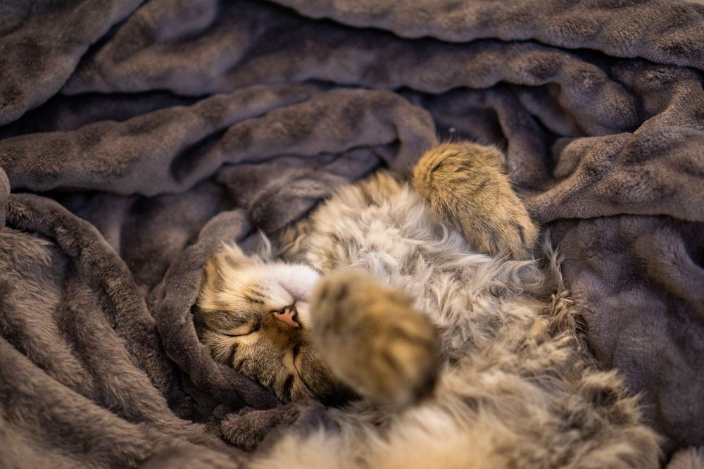 Photograph by Наталья Мэмэлигэ