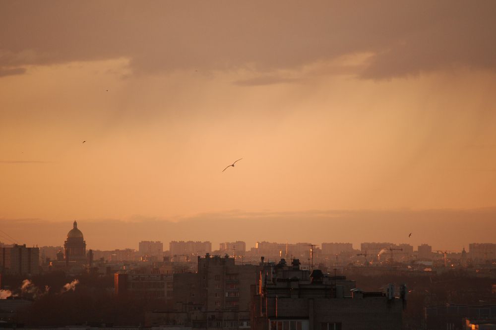 Photograph by Юлия Куликова