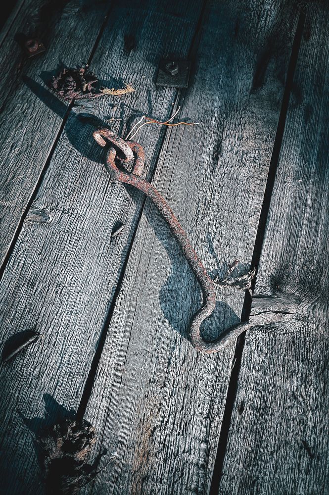 Photograph by Наталья Чередниченко