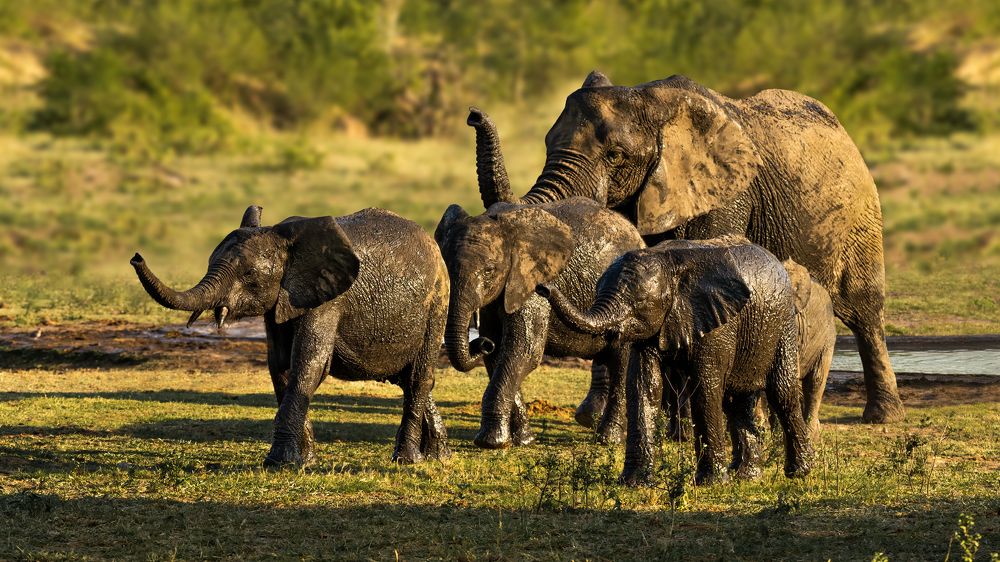 Photograph by Николай Мозгунов