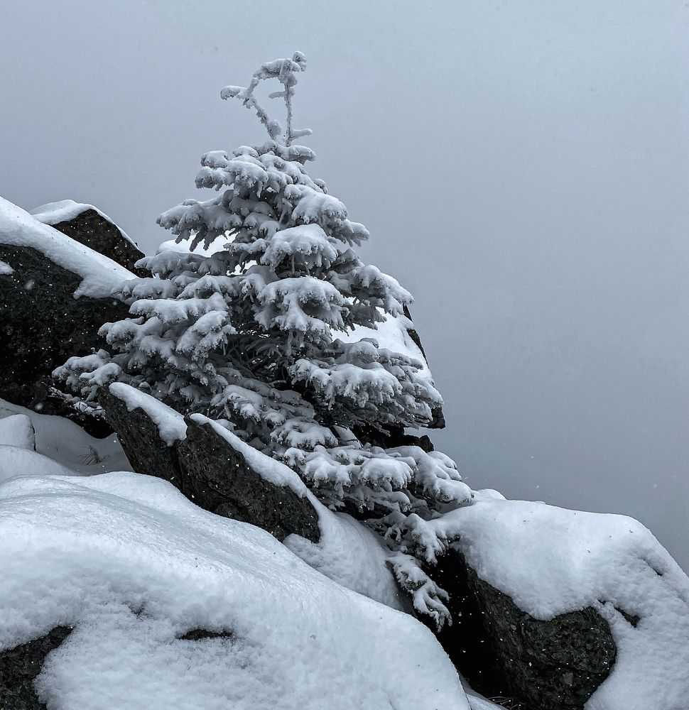 Photograph by Наталья Лобанова