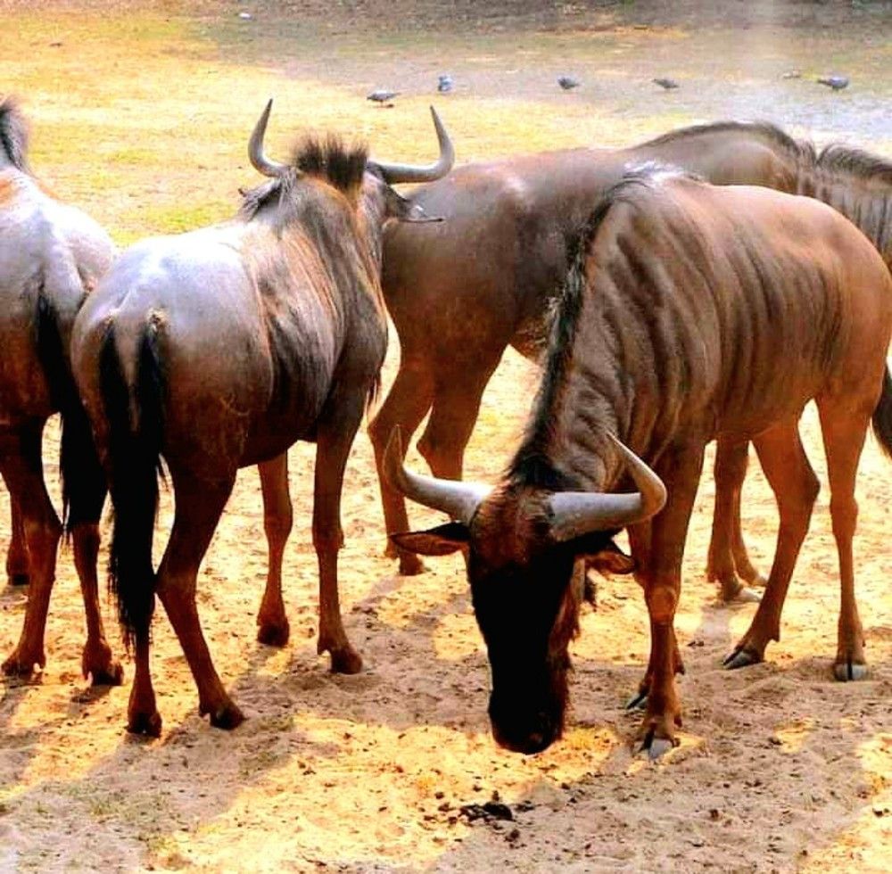 Photograph by Md Rizwanullah Shuvo