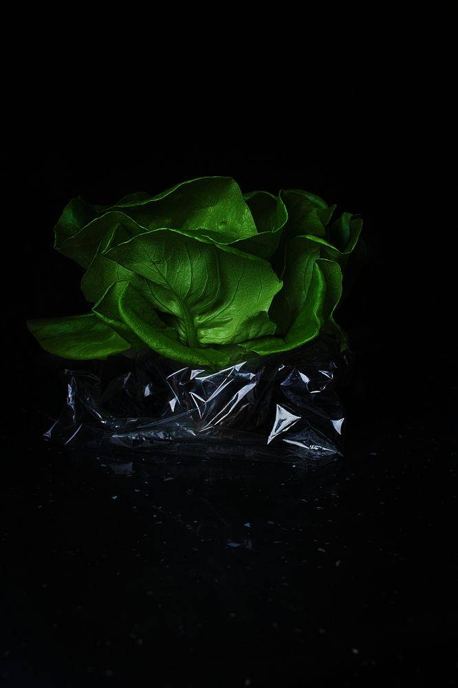 Photograph by Надежда Ржевская