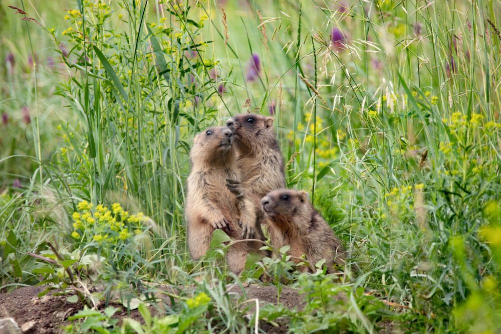 Photograph by Даря Ивушкина