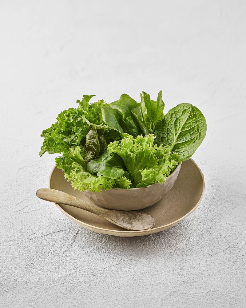 Photograph by mahmoud ahmed