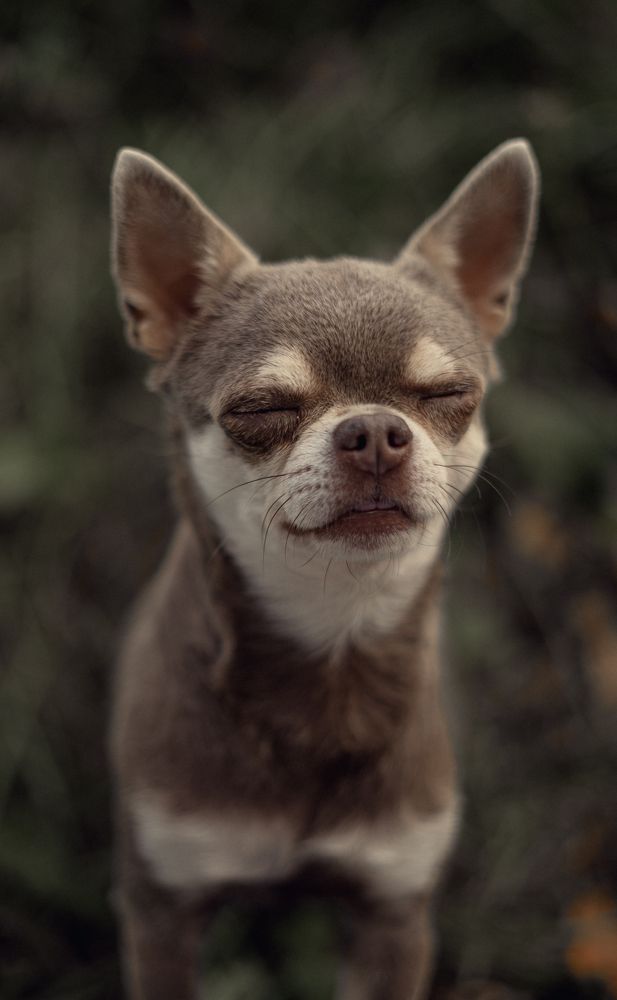 Photograph by Татьяна Захарова