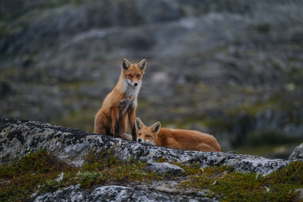 Photograph by Стоянова-Тимбукту Мария