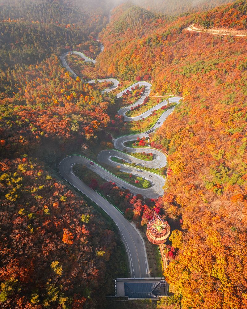 Фотография автора NGUYEN NGOC SON