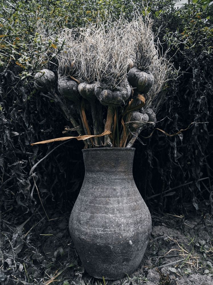 Photograph by Владимир Заборонок