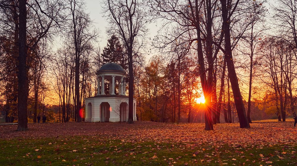 Photograph by Ilya Sergeevich