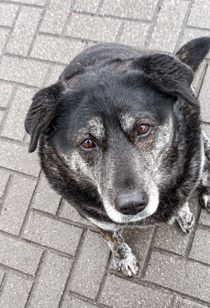 Photograph by Ирина Архипова