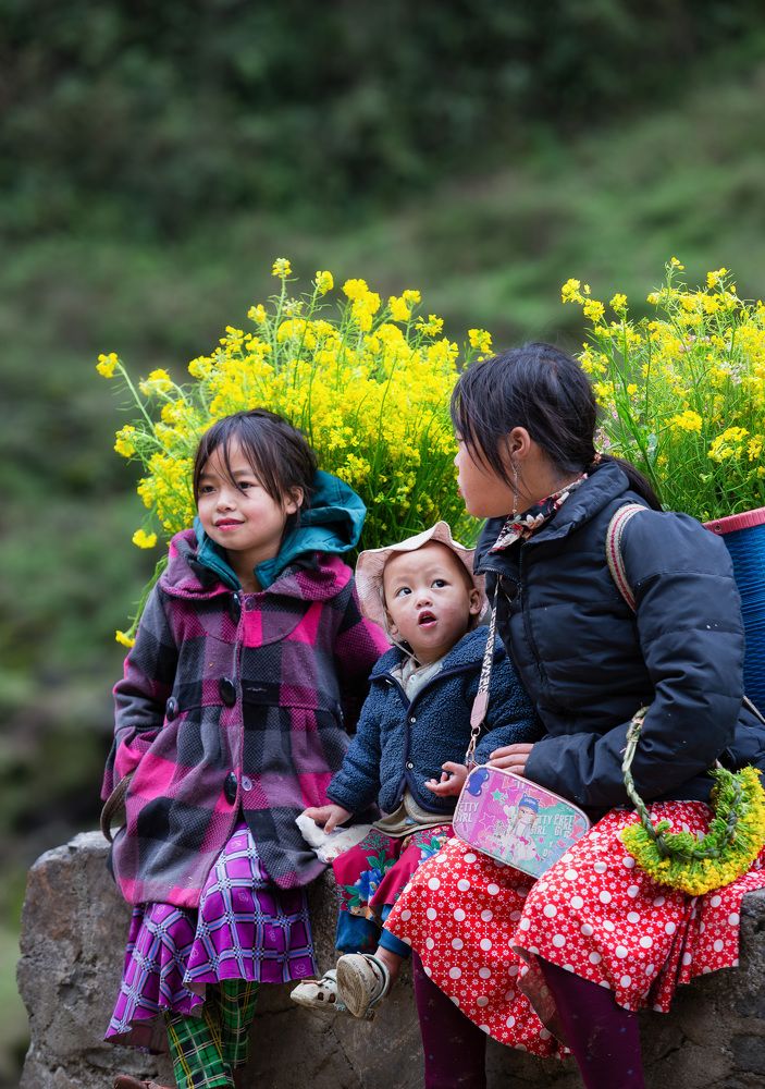 Фотография автора Lien Vu