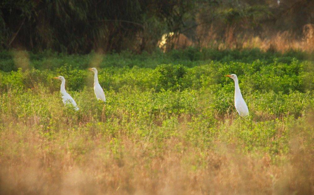 Photograph by Berk Karacin