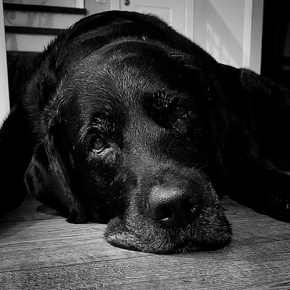 Photograph by Марина Захарова