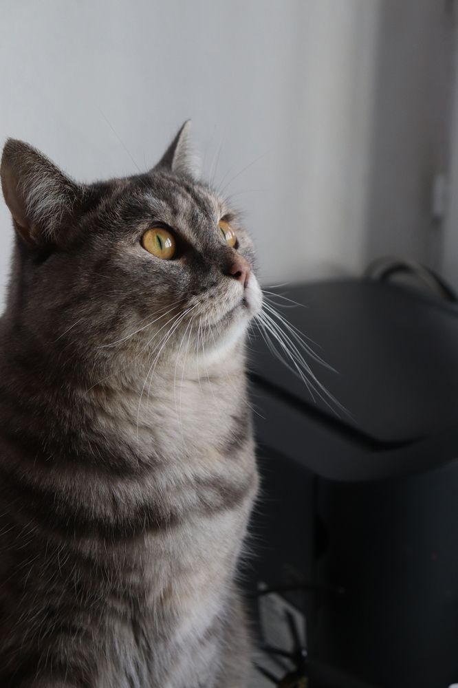 Photograph by Елизавета Булах