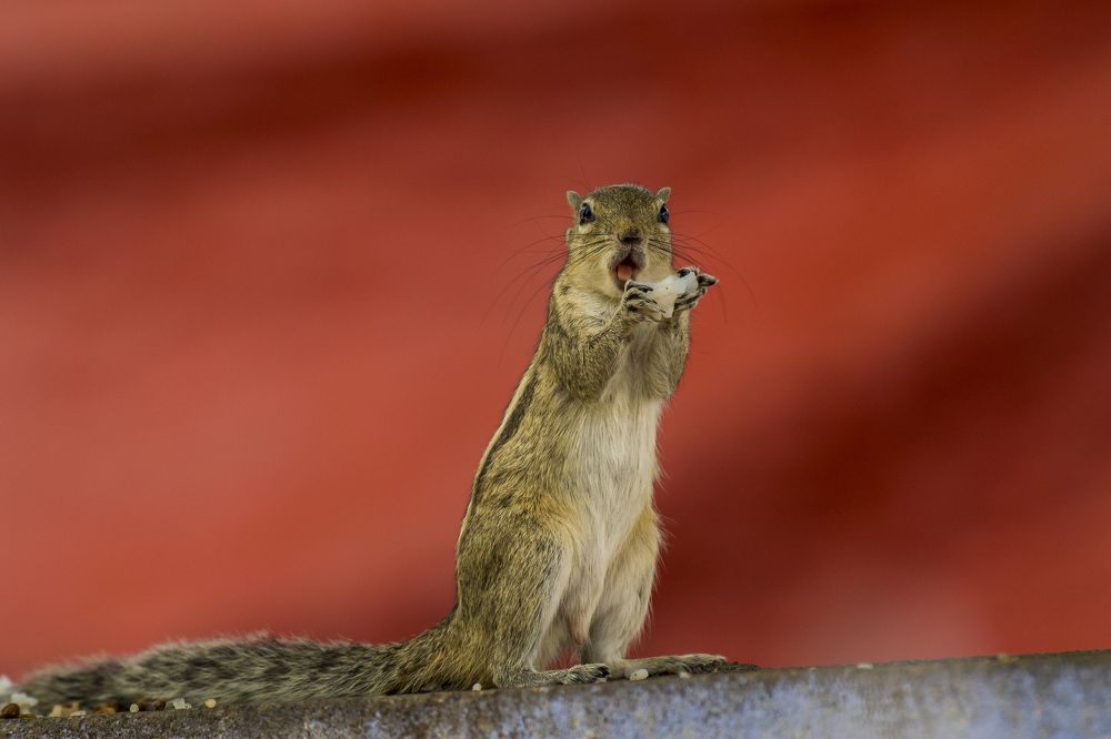 Photograph by Jaikumar Moorthi
