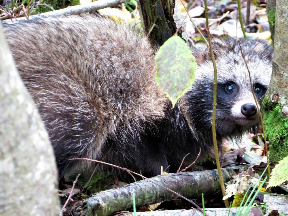 Photograph by Ольга Митрофанова