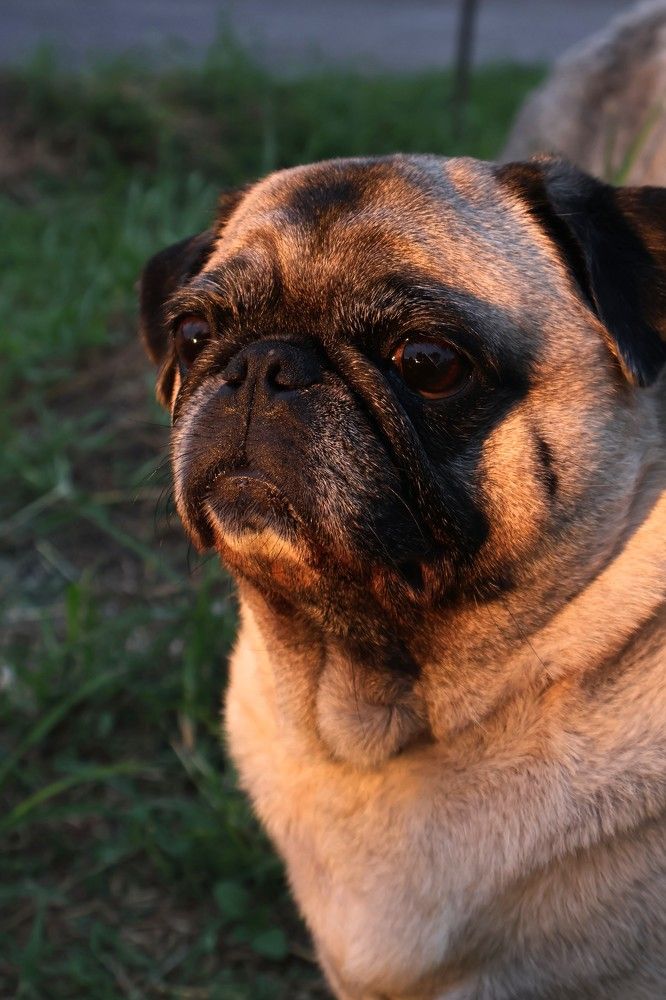 Photograph by Ulises Pintos