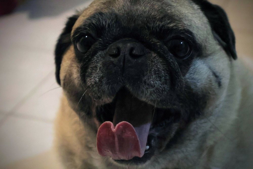 Photograph by Ulises Pintos