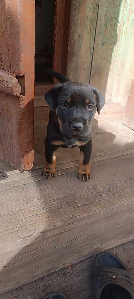 Photograph by Елизавета Булах