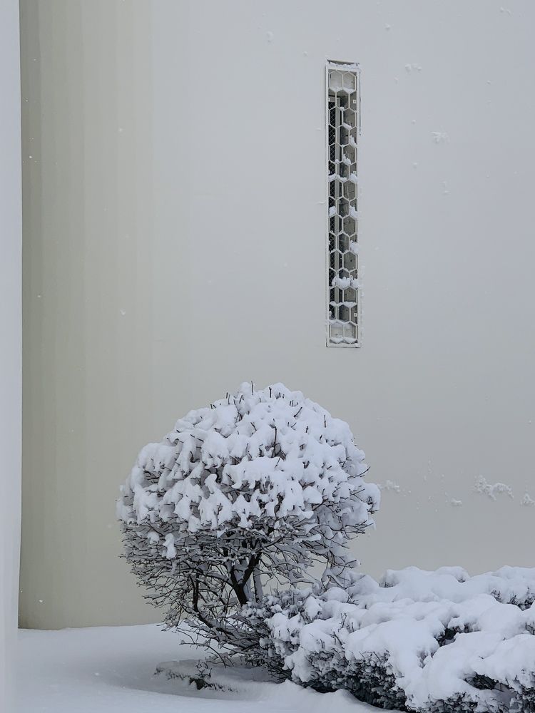 Зимняя графика