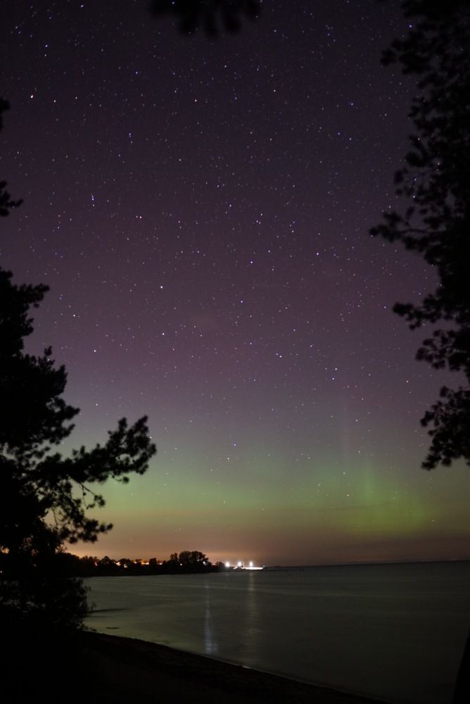 Photograph by Елизавета