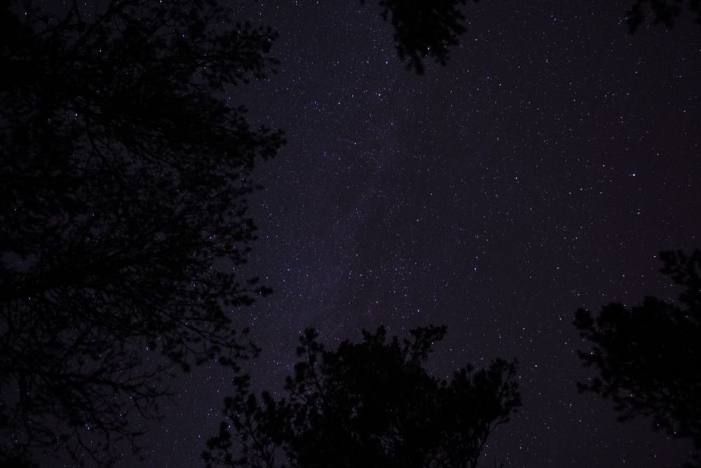 Photograph by Елизавета