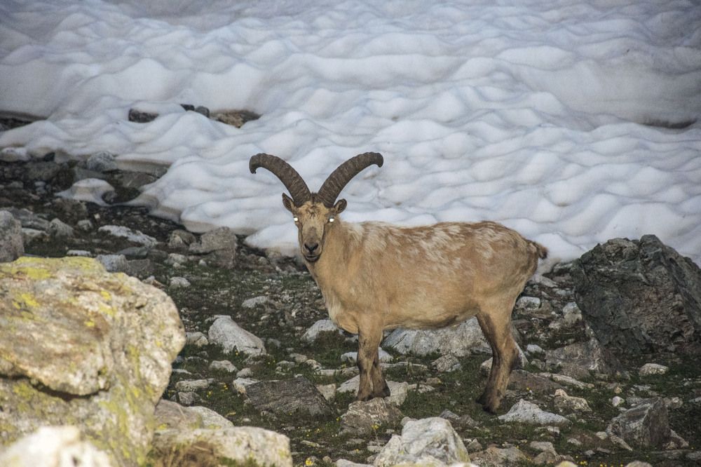 Photograph by Виталий Мартынов