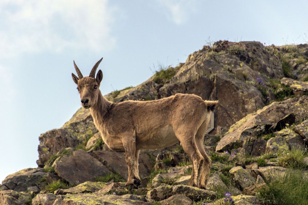 Photograph by Виталий Мартынов