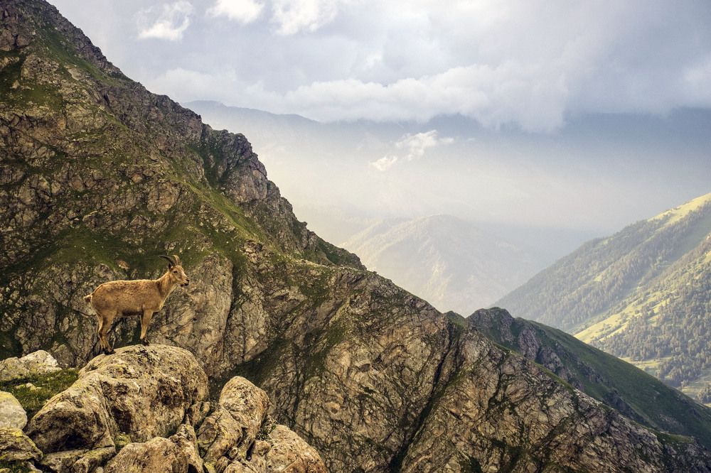 Photograph by Виталий Мартынов