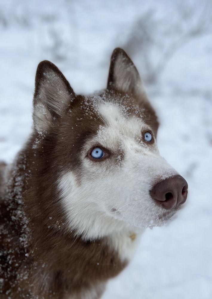 Photograph by Светлана Крупина