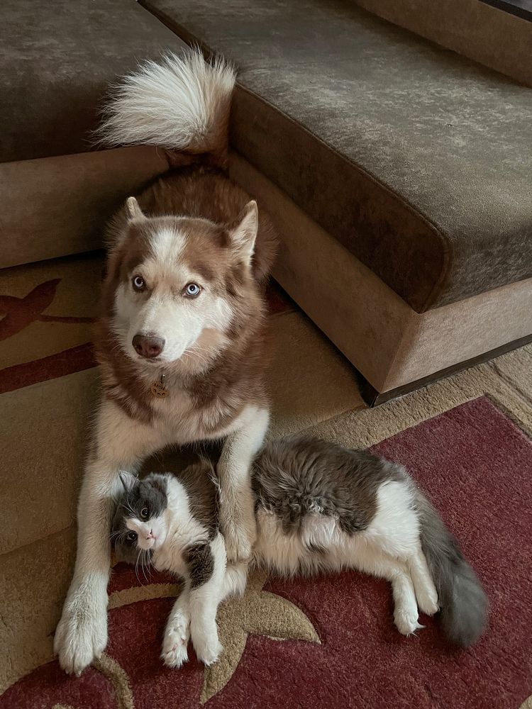 Photograph by Светлана Крупина