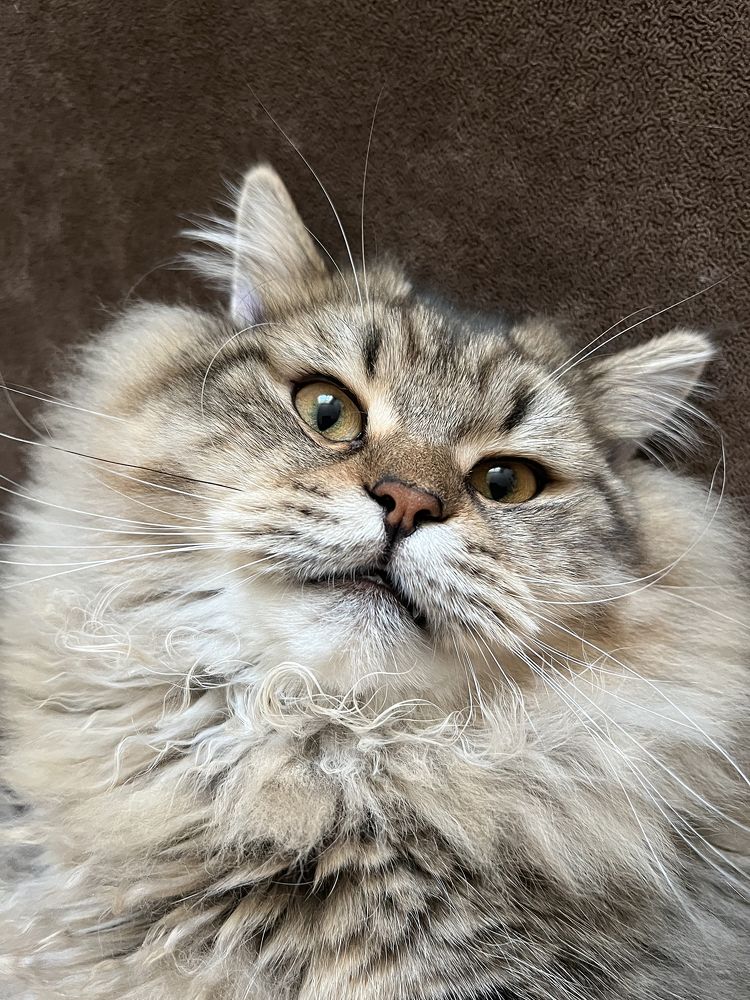 Photograph by Светлана Крупина