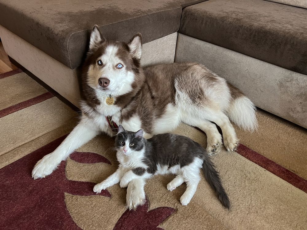 Photograph by Светлана Крупина