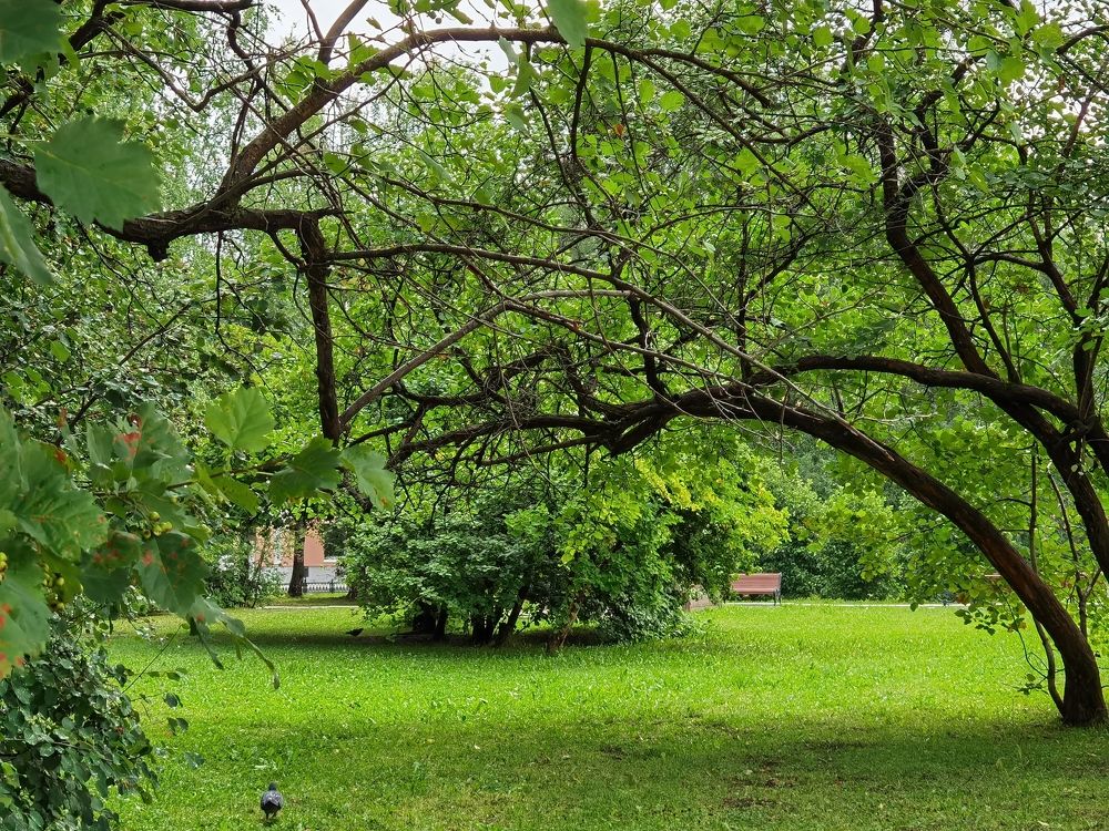 Photograph by Alexandr