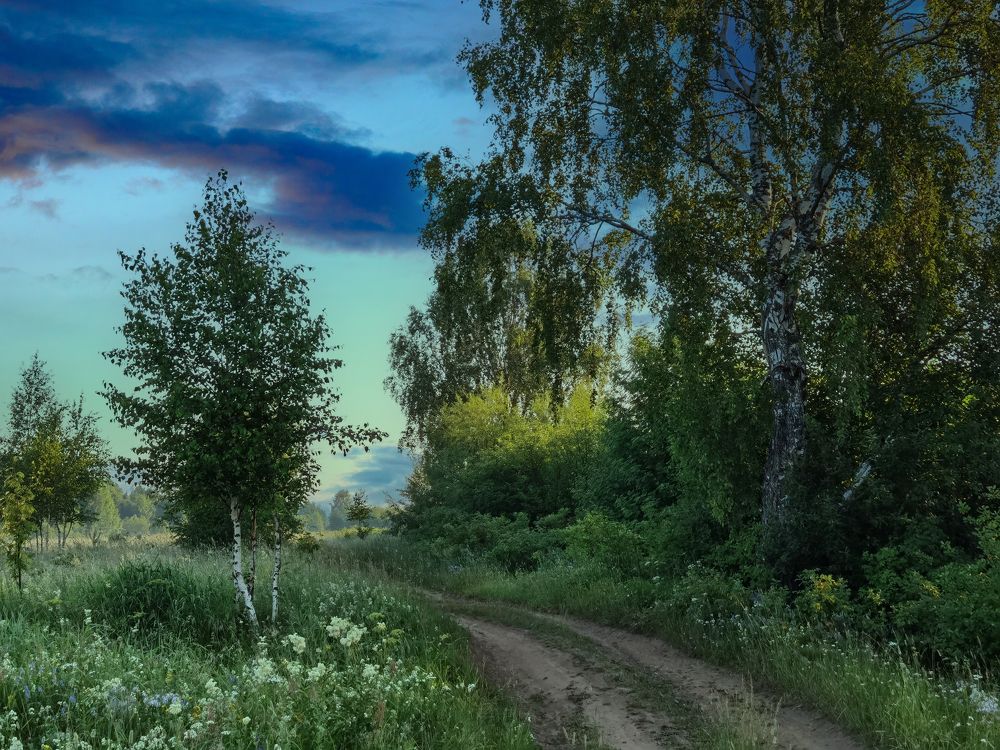 Photograph by Alexandr