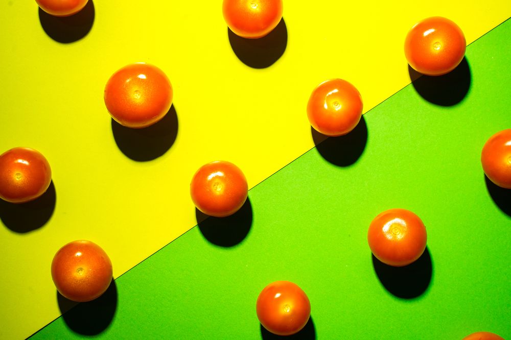 Фотография автора Василиса Новикова