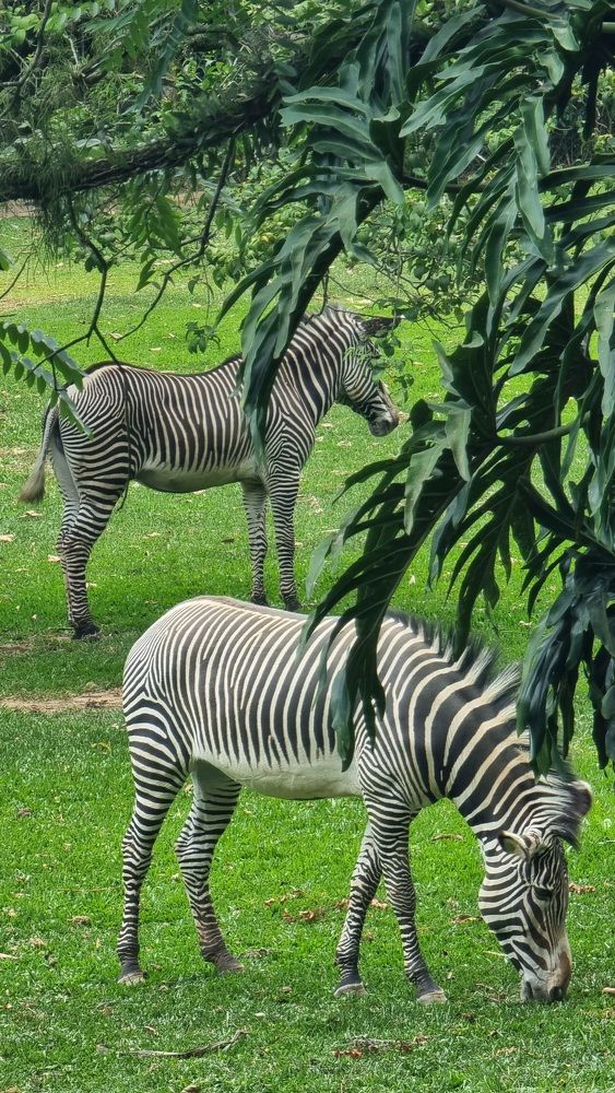 Photograph by Marie G