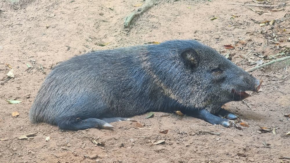 Photograph by Marie G