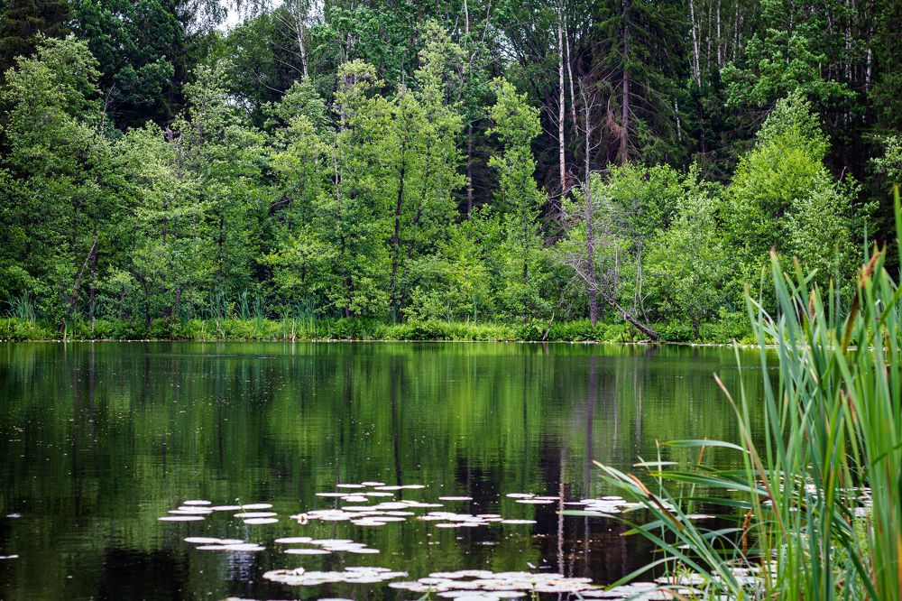 Photograph by Михаил Климов