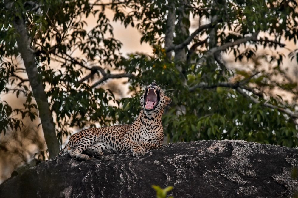 Photograph by Pakalon Janakan