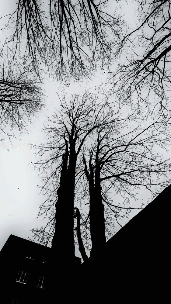 Фотография автора Евгения Зайцева