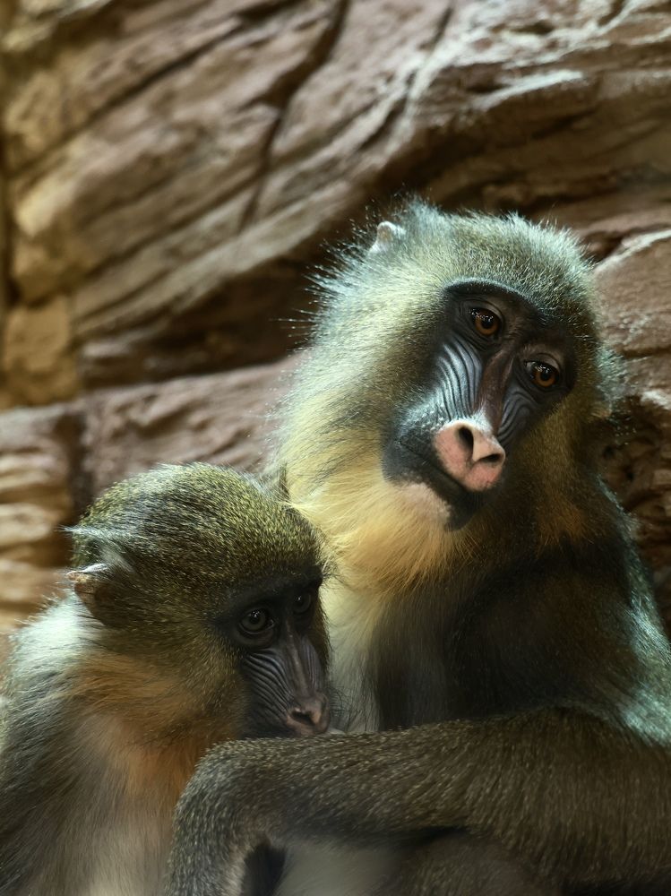 Photograph by Евгения Казакова